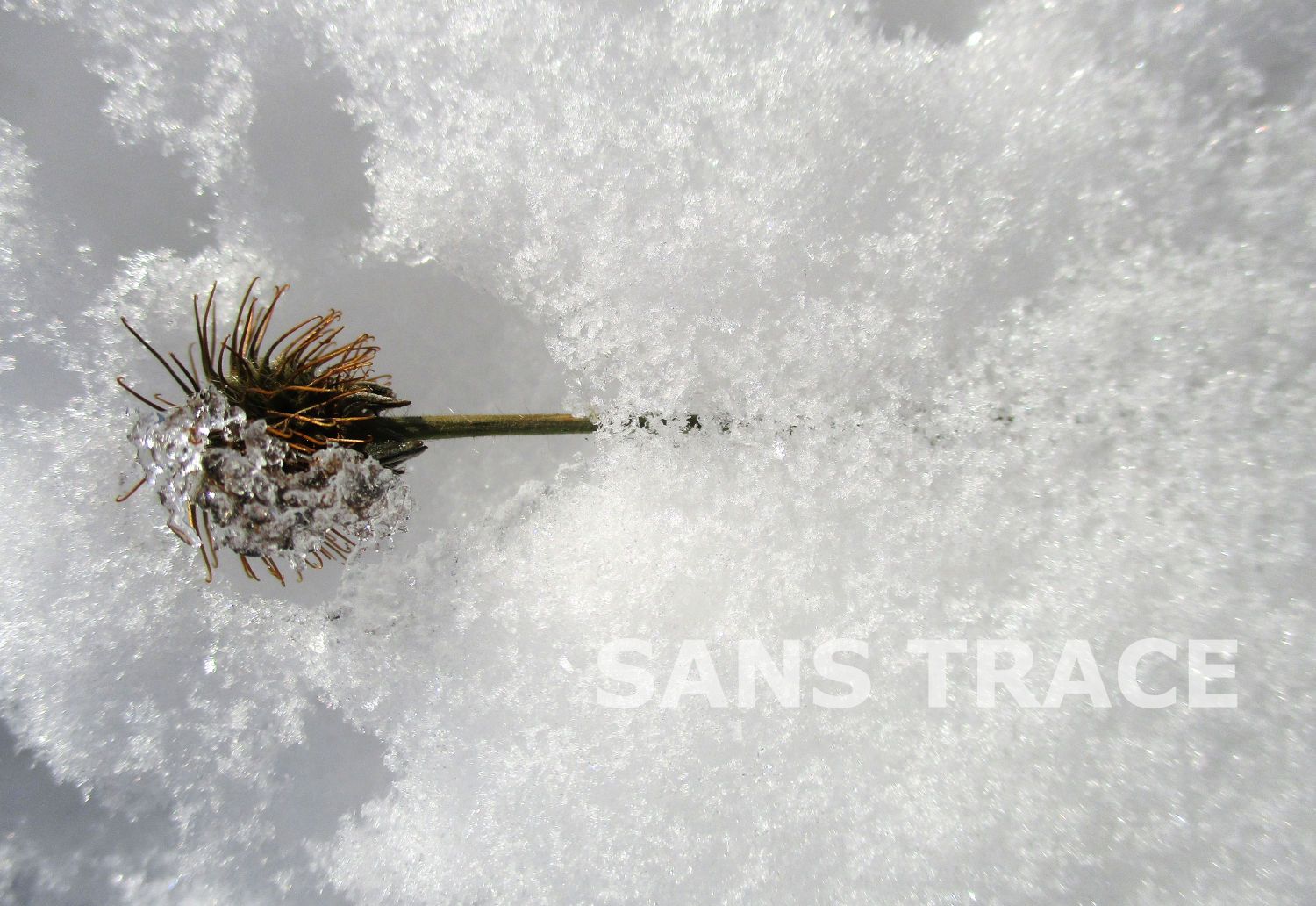 Ana Maria Asan | Land art | Sans Trace